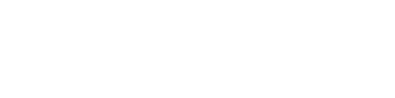 Xsight Labs